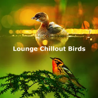 Lounge Chillout Birds by Morning Nature