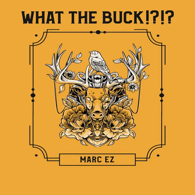 What the Buck!?!?