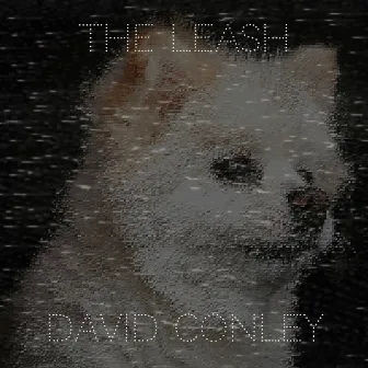 The Leash by David Conley