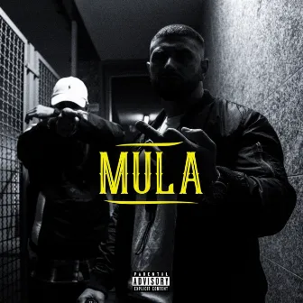 Mula by Boysindahood