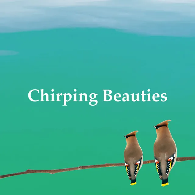 Chirping Beauties