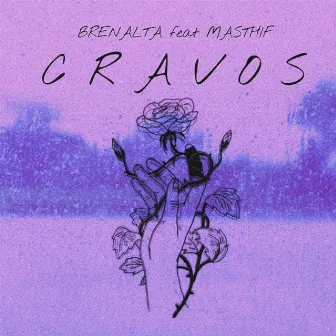 Cravos by Brenalta