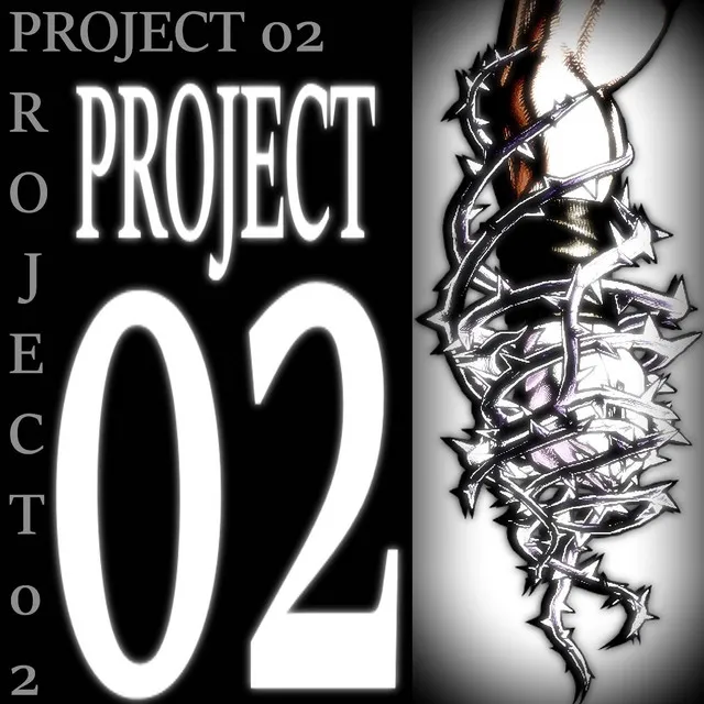 Project 02