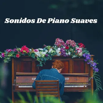 Sonidos De Piano Suaves by Tranquilidad Piano