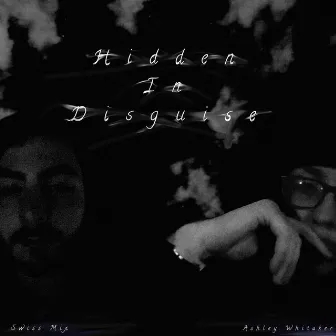 Hidden in Disguise by Swiss Mix