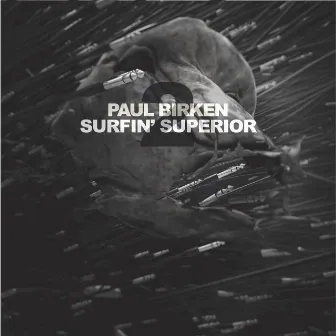 Surfin´ Superior 2 (Surfin Superior 2) by Paul Birken