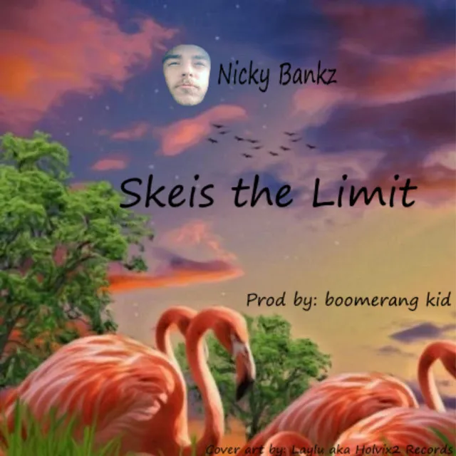 Skies the Limit