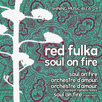 Soul on Fire by Red Fulka