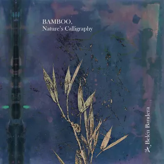 BAMBOO, Nature's Calligraphy by Belén Bandera