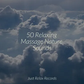 50 Relaxing Massage Nature Sounds by Meditación Guiada