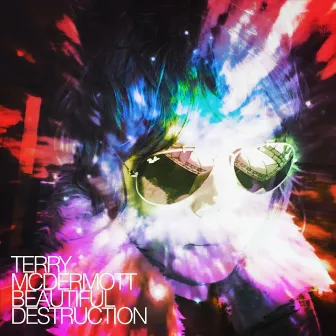 Beautiful Destruction by Terry McDermott