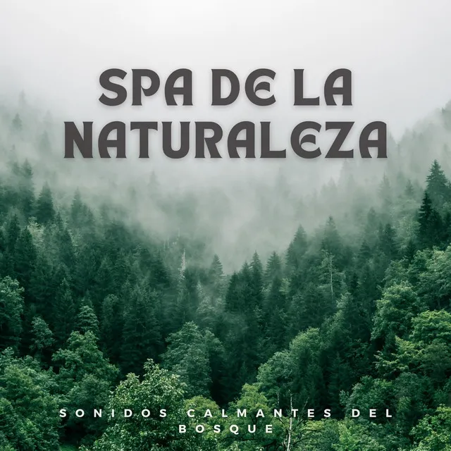 Spa De La Naturaleza: Sonidos Calmantes Del Bosque