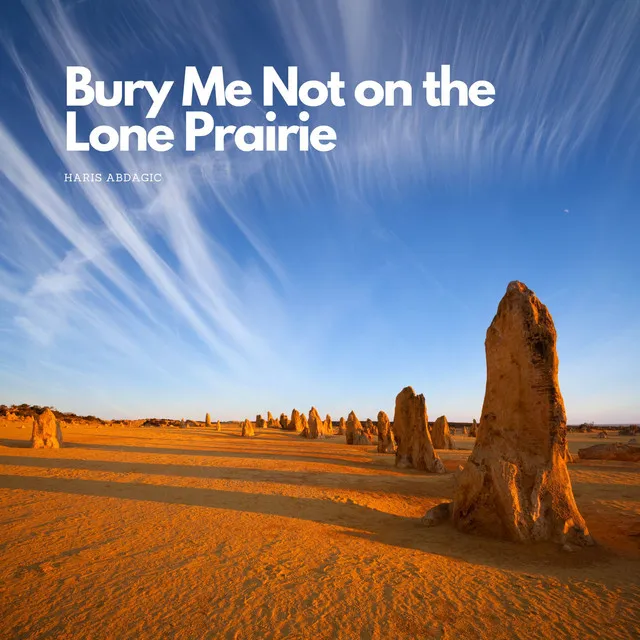 Bury Me Not on the Lone Prairie (The Cowboy's Lament)