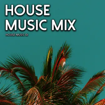 House Music Mix by Unknown Artist