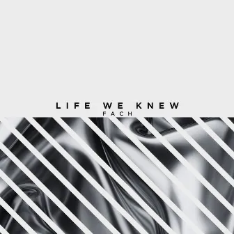 Life We Knew by Fach