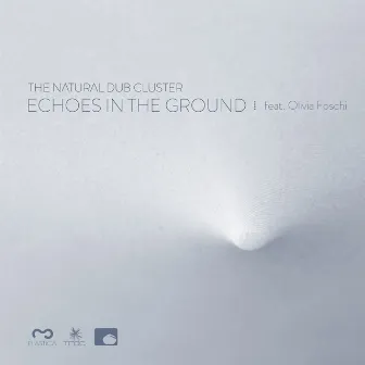 Echoes In The Ground by The Natural Dub Cluster