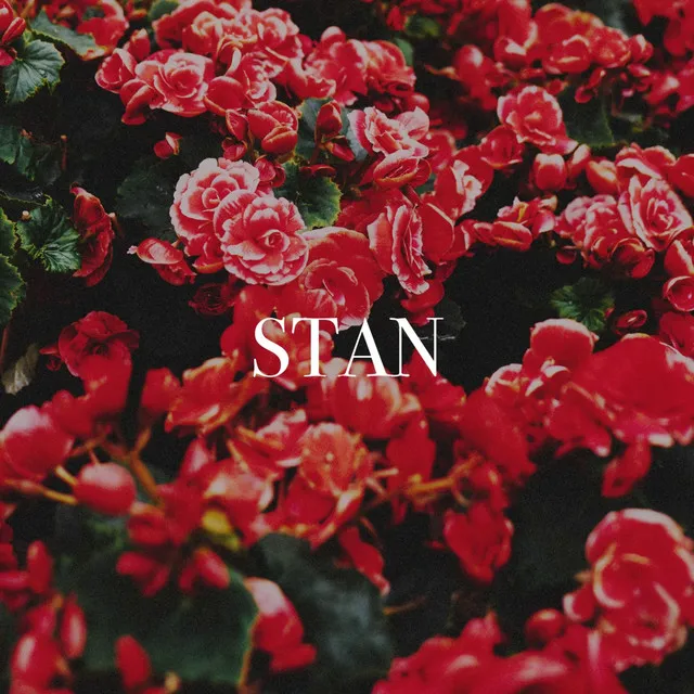 Stan