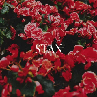 Stan by Angles in the Sky