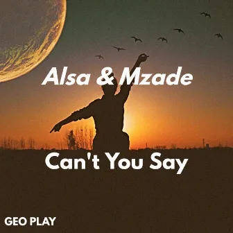 Can't You Say by ALSA