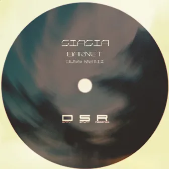 Barnet (Duss Remix) by Siasia