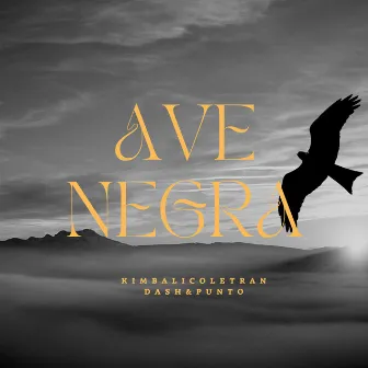 AVE NEGRA by Dash & Punto