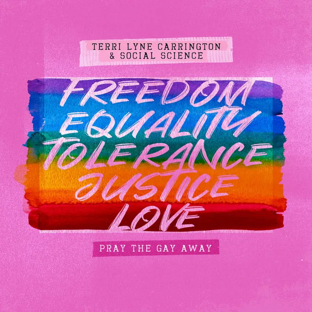 Pray the Gay Away - Radio Edit