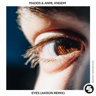 Eyes (Akron Remix) by ANML KNGDM