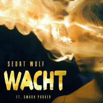 Wacht by Sedat Wolf