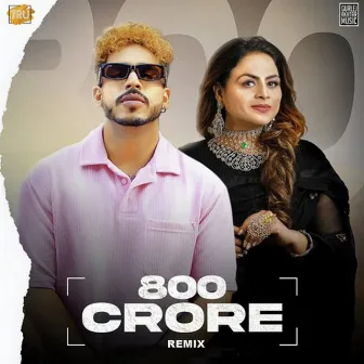 800 Crore (Remix) by Sahil Akhtar