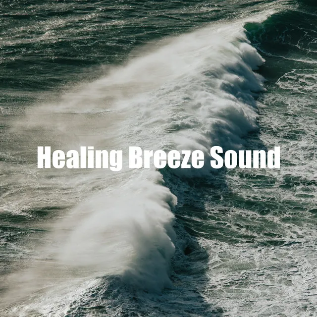 Serene Water Waves Sound