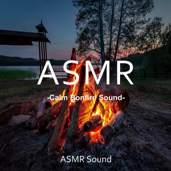 Calm Bonfire Sound (Study, Concentration, Exam, Healing, Meditation, Reading a Book) by ASMR Sound