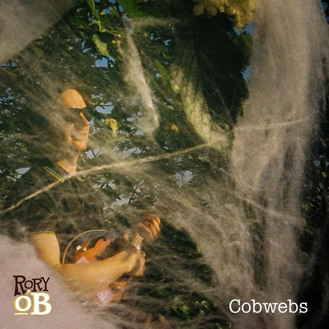 Cobwebs