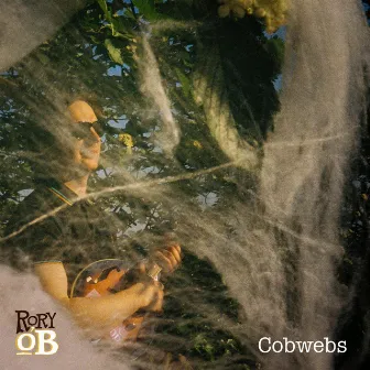 Cobwebs by Rory O'B