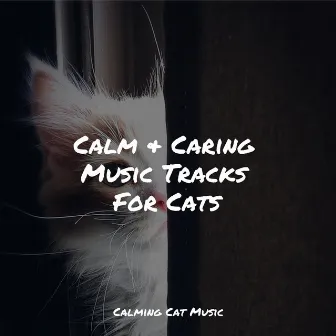 Calm & Caring Music Tracks For Cats by Music for Resting Cats