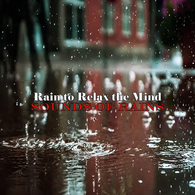 Rain to Relax the Mind Pt. 44