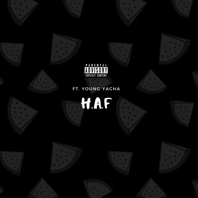 H.A.F - Remix