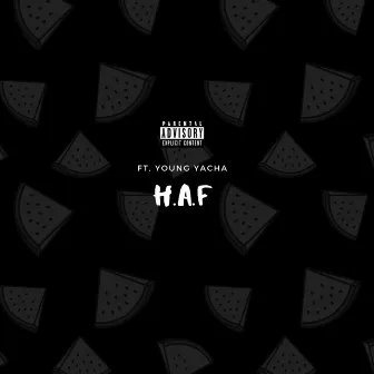 H.A.F (Remix) by Tre Dub