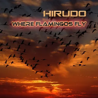 Where Flamingos Fly by Hirudo