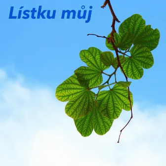 Lístku můj by Tomáš Kolařík