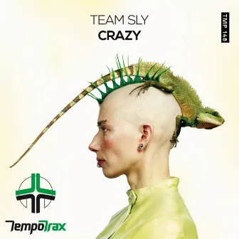 Crazy by Team Sly