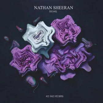 Dreams by Nathan Sheeran