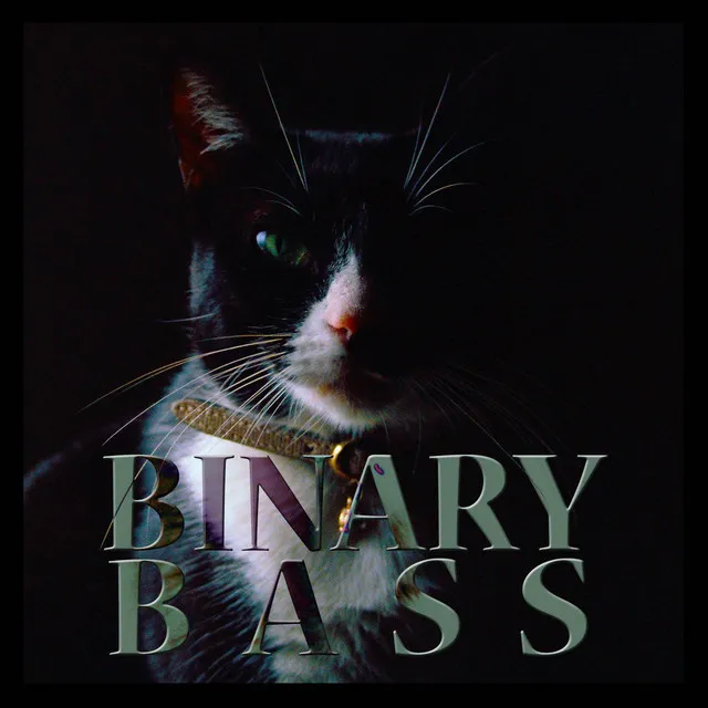 Binary Bass