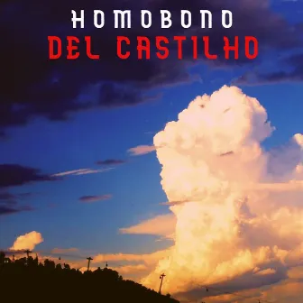 Del Castilho by Homobono