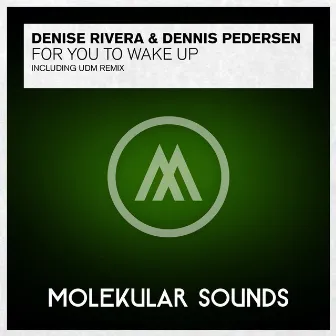 For You To Wake Up by Denise Rivera