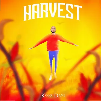 Harvest by Unknown Artist