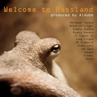 Welcome to Bassland by Aldubb