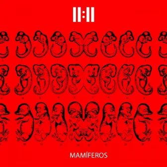 Mamíferos by 11:11