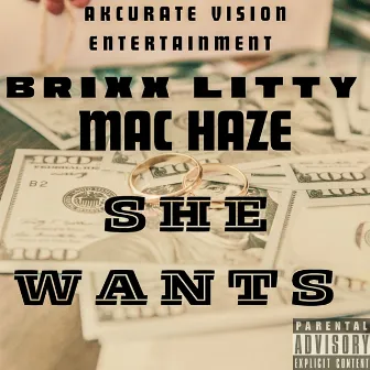 She Wants by BRIXX LITTY