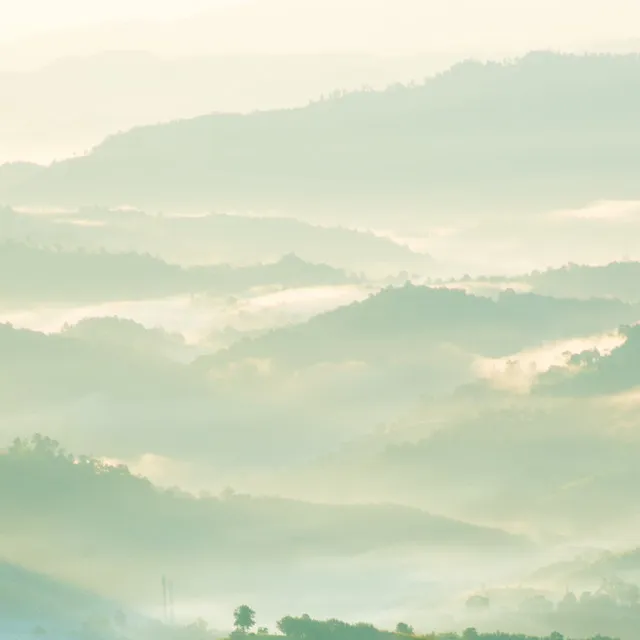 Música de Yoga Relaxamento