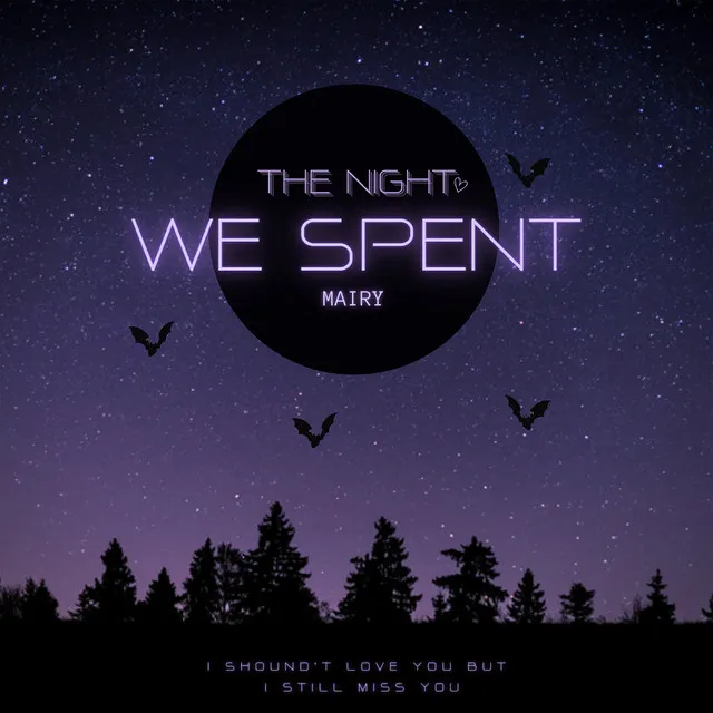 The Night We Spent